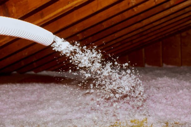 Best Residential Insulation in Birch Bay, WA