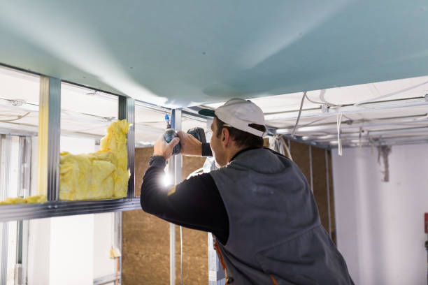 Best Insulation Maintenance and Repair in Birch Bay, WA